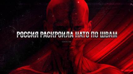 Угроза развала: Россия раскроила НАТО по швам Угроза развала: Россия раскроила НАТО по швам