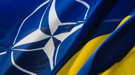 Очередная просьба Украины принять ее в НАТО адресована на самом деле России Очередная просьба Украины принять ее в НАТО адресована на самом деле России