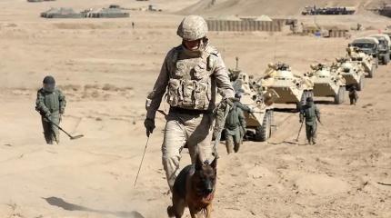 Странам ЦА надо активнее включаться в усилия ШОС по борьбе с терроризмом