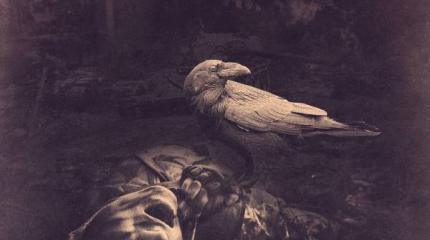 Либеральные пиар-стервятники пляшут на костях Мозгового: продолжение