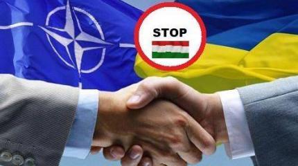 Почему Венгрия не хочет помогать Украине в конфликте с Россией Почему Венгрия не хочет помогать Украине в конфликте с Россией