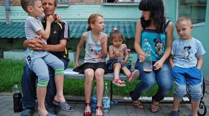 Кому нужны бродячие украинцы Кому нужны бродячие украинцы