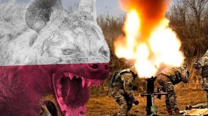 Как Польша «любит» Украину на самом деле: пропаганда и реальность Как Польша «любит» Украину на самом деле: пропаганда и реальность