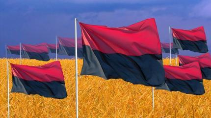 Украинский консерватизм в плену у украинского национализма