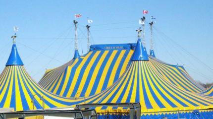 Украинский недельный цирк: суперстар, «сжижженцы» и репрессии в антракте