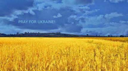 Иностранцы не смогут поднять Украину с колен Иностранцы не смогут поднять Украину с колен