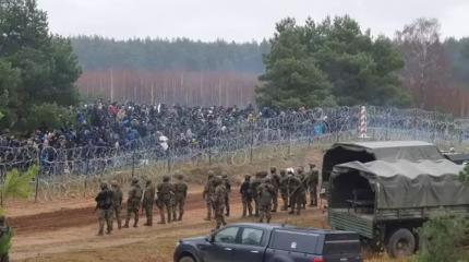 Может ли Польша пойти на военную провокацию с связи с мигрантами Может ли Польша пойти на военную провокацию с связи с мигрантами