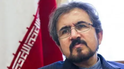 Бахрам Касеми призвал Запад не критиковать Тегеран за казни