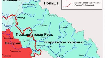 Венгрия не будет поставлять оружие Украине Венгрия не будет поставлять оружие Украине