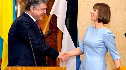 Агрессия маленького и беззащитного Агрессия маленького и беззащитного