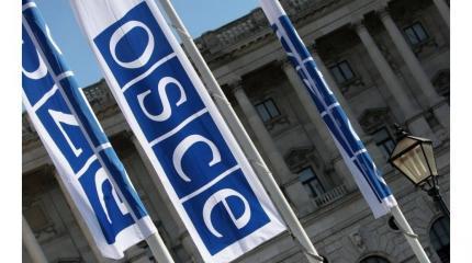 Украинская делегация сорвала выступление крымского журналиста в ОБСЕ Украинская делегация сорвала выступление крымского журналиста в ОБСЕ