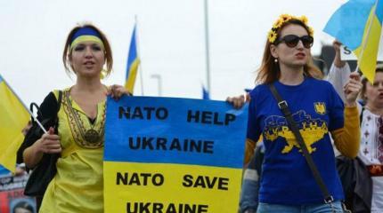 Forbes: Если Украина хочет в НАТО, ей придется забыть о Крыме Forbes: Если Украина хочет в НАТО, ей придется забыть о Крыме