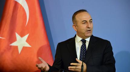 Турки назвали Швецию страной насилия