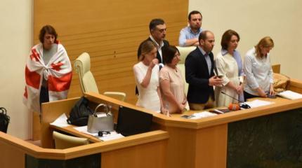 В срыве заседания МПА власти Грузии сомкнулись с оппозицией