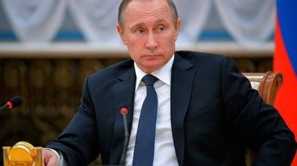 Знаменитости о пятилетке Путина: «Сейчас нас никто не посмеет тронуть» Знаменитости о пятилетке Путина: «Сейчас нас никто не посмеет тронуть»