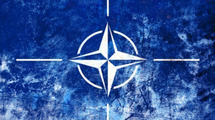 Лидеры НАТО заставляют Европу «воевать» с Россией Лидеры НАТО заставляют Европу «воевать» с Россией