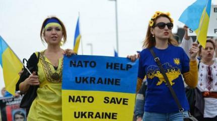 Петиция о референдуме по вступлению Украины в НАТО собрала 25 тыс голосов Петиция о референдуме по вступлению Украины в НАТО собрала 25 тыс голосов
