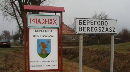 Венгры и поляки претендуют на свой кусок Украины Венгры и поляки претендуют на свой кусок Украины