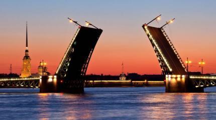 Петербург может стать колыбелью covid-революции Петербург может стать колыбелью covid-революции