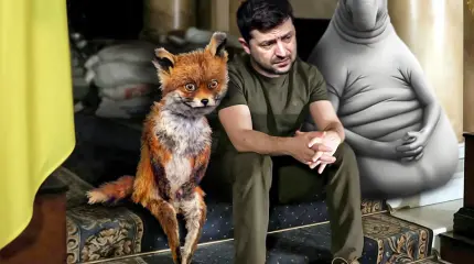 О мире киевский режим не помышляет О мире киевский режим не помышляет