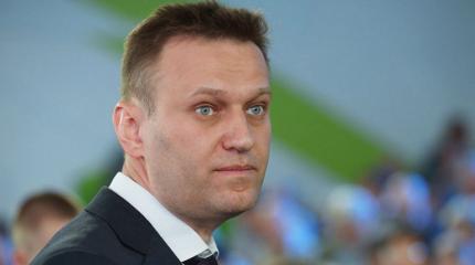 Как Навальный увидел в Донбассе то, чего там нет Как Навальный увидел в Донбассе то, чего там нет