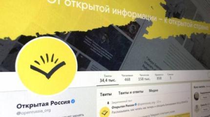 «Открытая Россия» осваивает бюджеты на борьбу с изменением Конституции