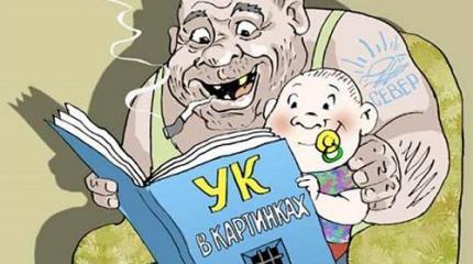 Уголовный кодекс РФ как зеркало российской демократии Уголовный кодекс РФ как зеркало российской демократии