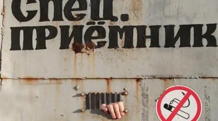 В России слишком много русских?