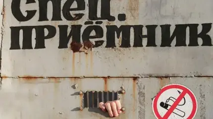 В России слишком много русских?