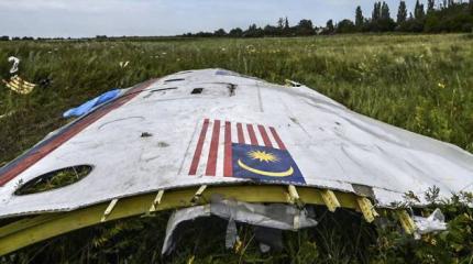 Нидерланды планировали ввести войска на Украину после крушения MH17 Нидерланды планировали ввести войска на Украину после крушения MH17
