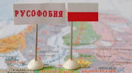 Польская русофобия против русской классики Польская русофобия против русской классики