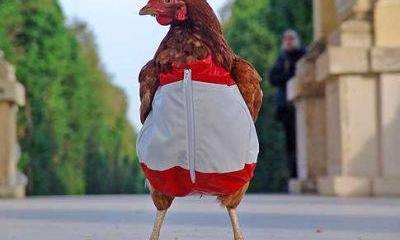 Почему сильнее всего россиян ненавидят поляки?