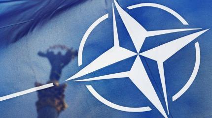 Польский инцидент: западные эксперты о вариантах включения НАТО в конфликт Польский инцидент: западные эксперты о вариантах включения НАТО в конфликт