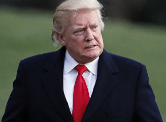 Западные СМИ «шьют» Трампу нацизм, готовя почву для импичмента Западные СМИ «шьют» Трампу нацизм, готовя почву для импичмента