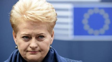 Грибаускайте готова вновь заговорить по-русски Грибаускайте готова вновь заговорить по-русски
