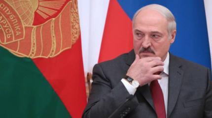 «Ласковое телятко» по-белорусски «Ласковое телятко» по-белорусски