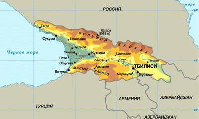 Грузия хочет привлечь РФ к крупному энергетическому проекту на Черном море