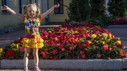 Разрушить армию через разрушение семьи Разрушить армию через разрушение семьи