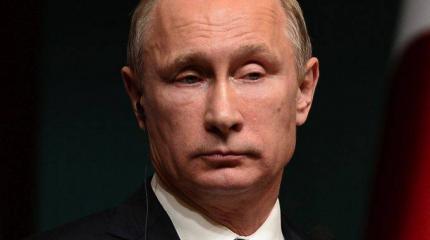 80-й уровень троллинга от Путина 80-й уровень троллинга от Путина