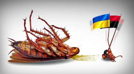 Украина, прощай! Европейская эпитафия антироссийскому проекту
