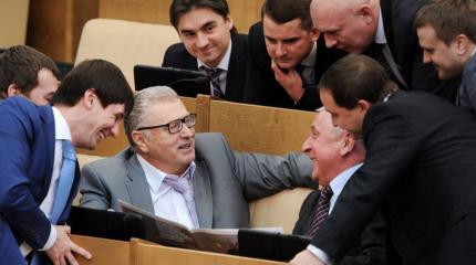Некоторые думают, что от депутатов должна быть польза Некоторые думают, что от депутатов должна быть польза