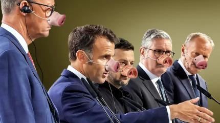 Мюнхенская конференция по безопасности: от мёртвого осла уши