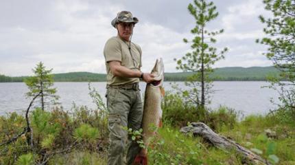 Владимир Путин «свой в доску»: Соцсети одобрили погоню за щукой Владимир Путин «свой в доску»: Соцсети одобрили погоню за щукой