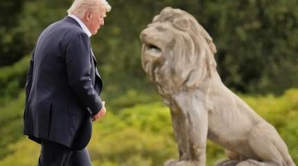 Больше не царь зверей. Трампа готовы кусать даже «шакалы»