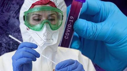 Испанские ученые ломают планы вакцинаторов Испанские ученые ломают планы вакцинаторов