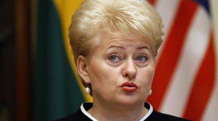 Грибаускайте рассказала, когда Литва введет новые санкции против РФ Грибаускайте рассказала, когда Литва введет новые санкции против РФ