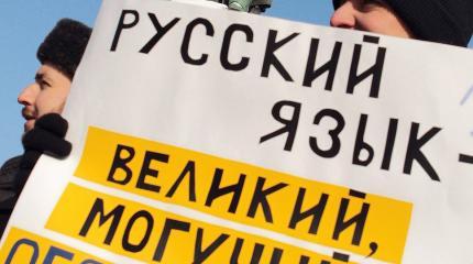 Проект «ЗЗ». «Жи» и «ши» с буквой «и» пиши!