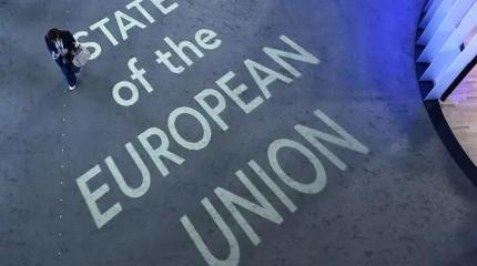 «Цветущий сад» Борреля погряз в шпиономании