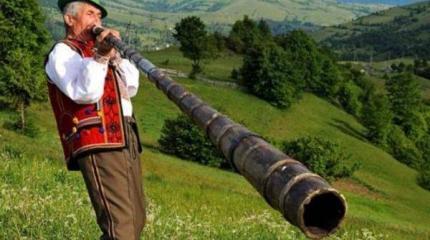Венгрия всерьез нацелилась на Закарпатье Венгрия всерьез нацелилась на Закарпатье