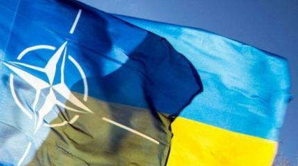 Эксперты обсуждают планы Украины по созданию баз США и НАТО Эксперты обсуждают планы Украины по созданию баз США и НАТО